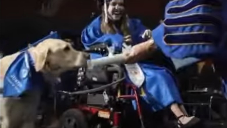 They gave her service dog a diploma