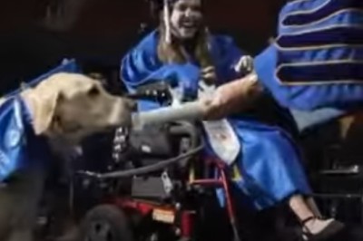 They gave her service dog a diploma