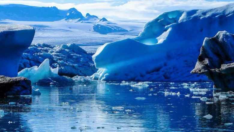 Discovery of the Century: Never-Before-Seen Marine Creatures Found Beneath Antarctica’s Icy Waters
