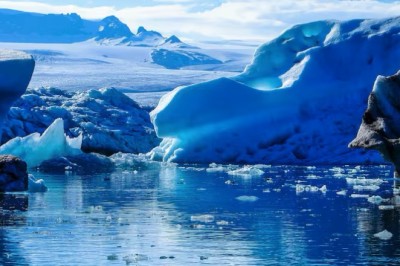 Discovery of the Century: Never-Before-Seen Marine Creatures Found Beneath Antarctica’s Icy Waters