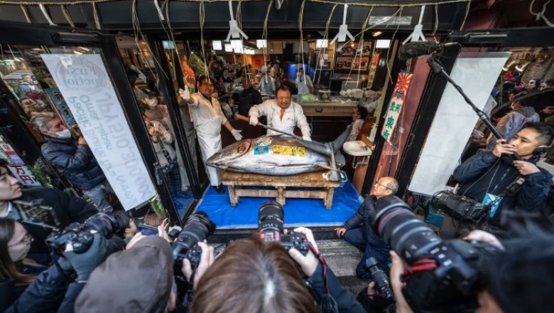 Giant Tuna the Size of a Motorcycle Sells for Record $3.2 Million at Tokyo Auction