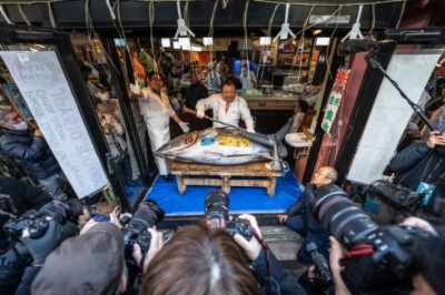 Giant Tuna the Size of a Motorcycle Sells for Record $3.2 Million at Tokyo Auction